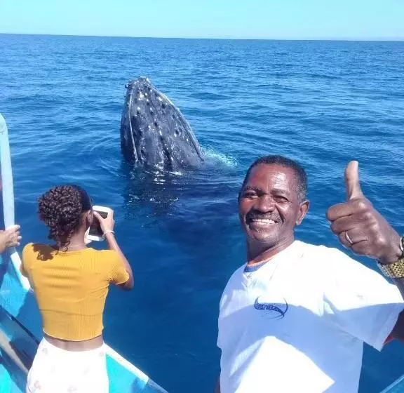 هتل La Baleine