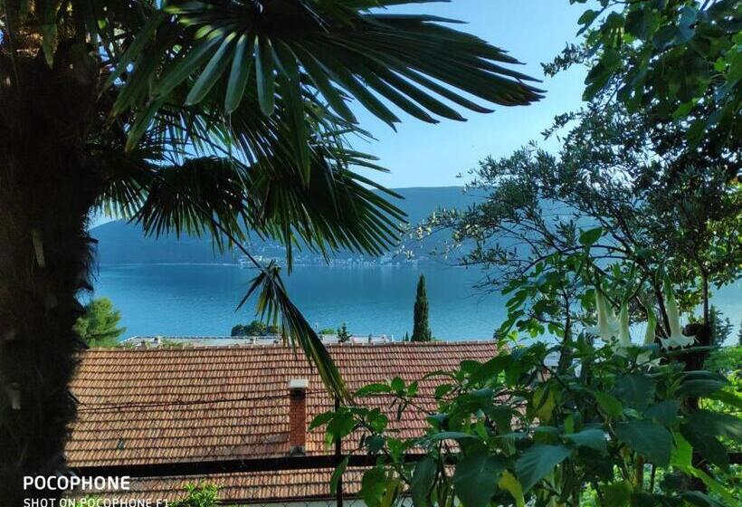 پانسیون Apartments Maya