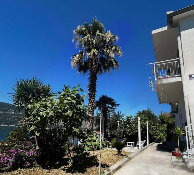 پانسیون Apartments Maya