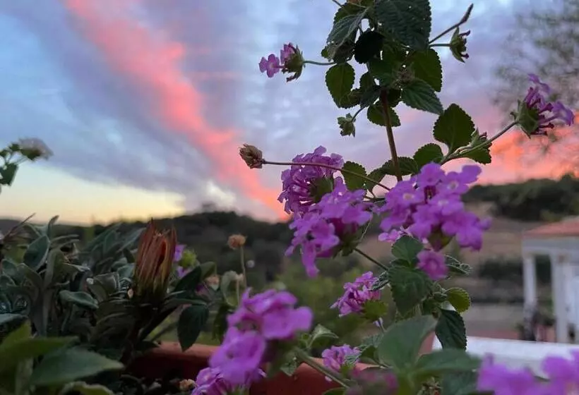 ペンション Casa Santo António