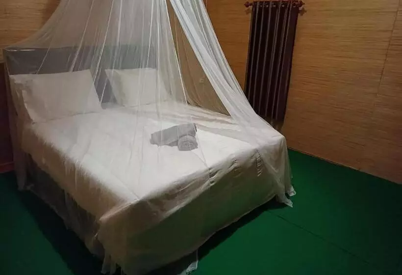 ユースホステル Black Sweet Bungalow