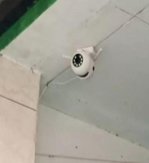 בית מלון כפרי Oyo 93114 Salak Homestay