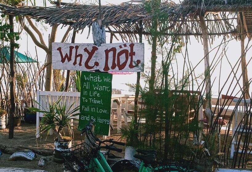 فندق Why Not Bar And Bungalows #2