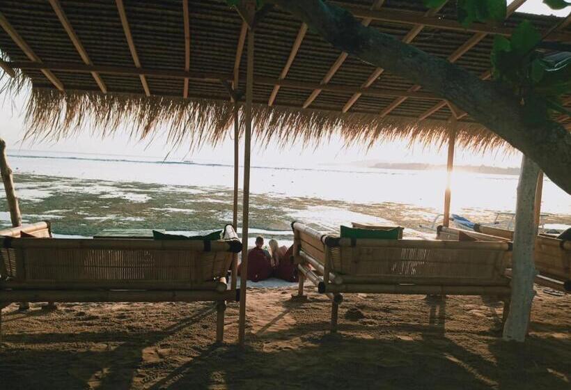 فندق Why Not Bar And Bungalows #2