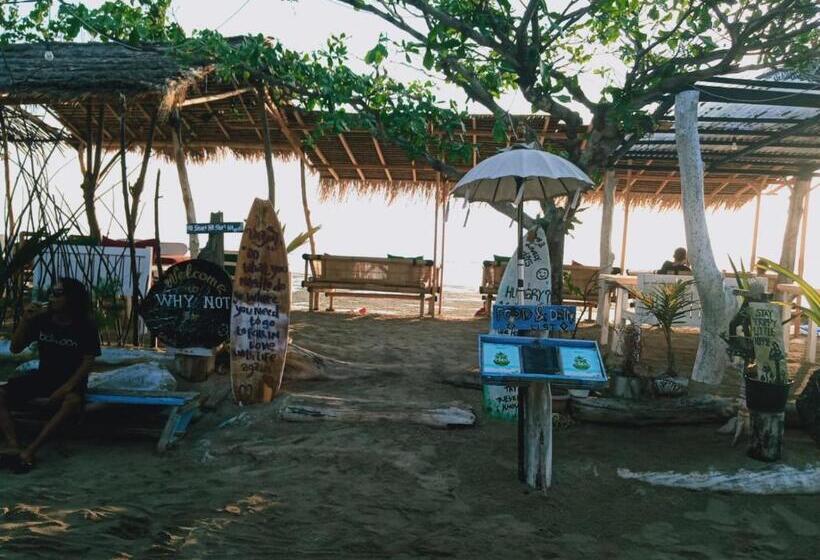 فندق Why Not Bar And Bungalows #2