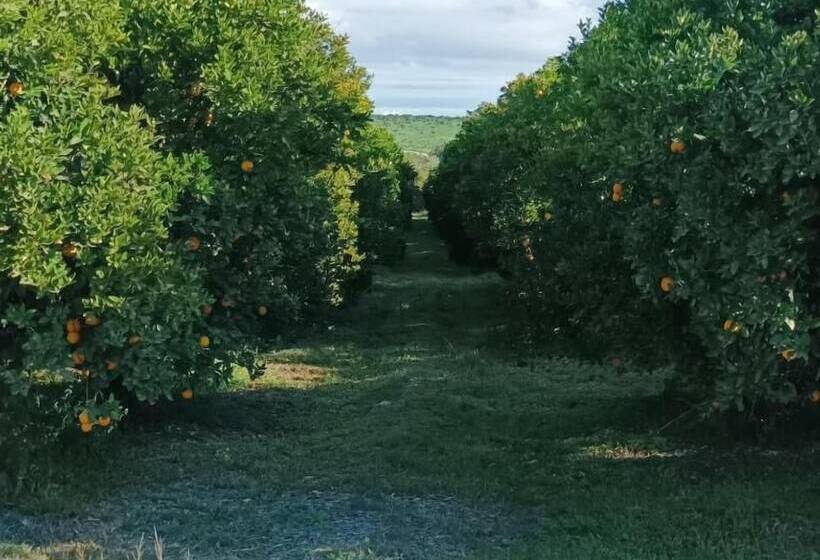 Pensjonat Suma S Rest