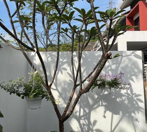 Hotel Krisa Scarlet’s Farmhouse