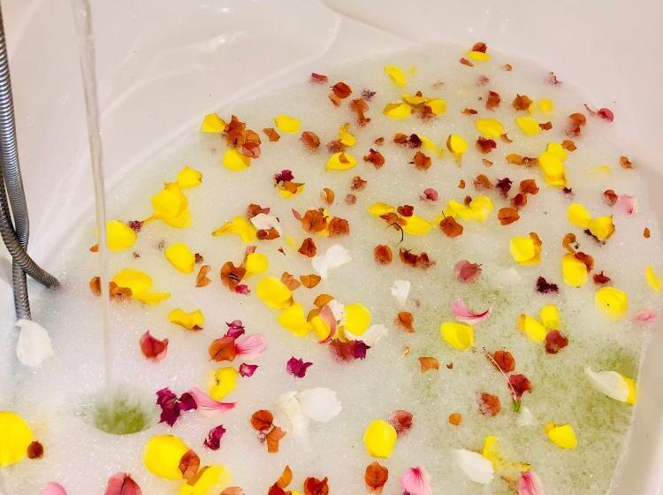 هتل The Address Resort