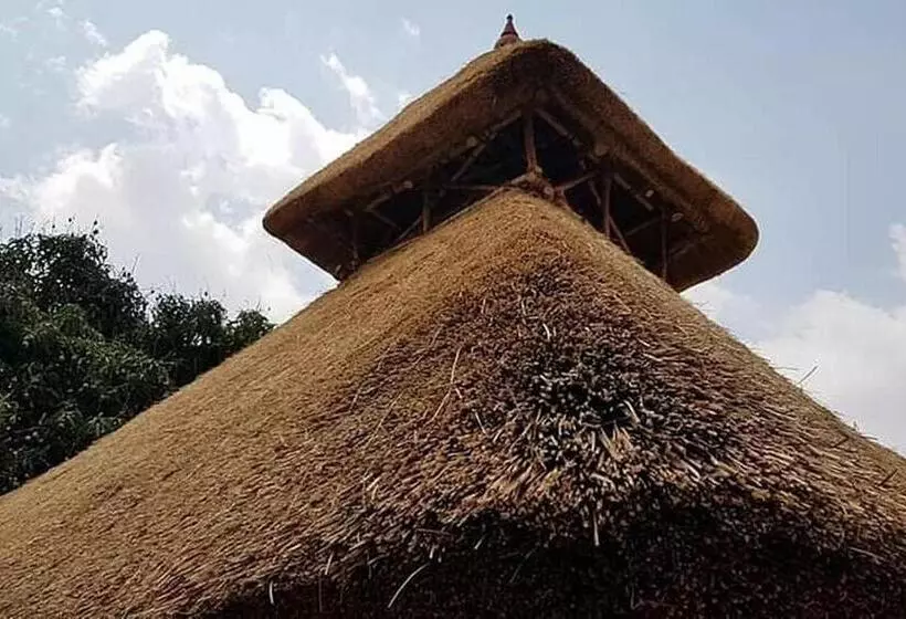 هتل Tree And Mud House