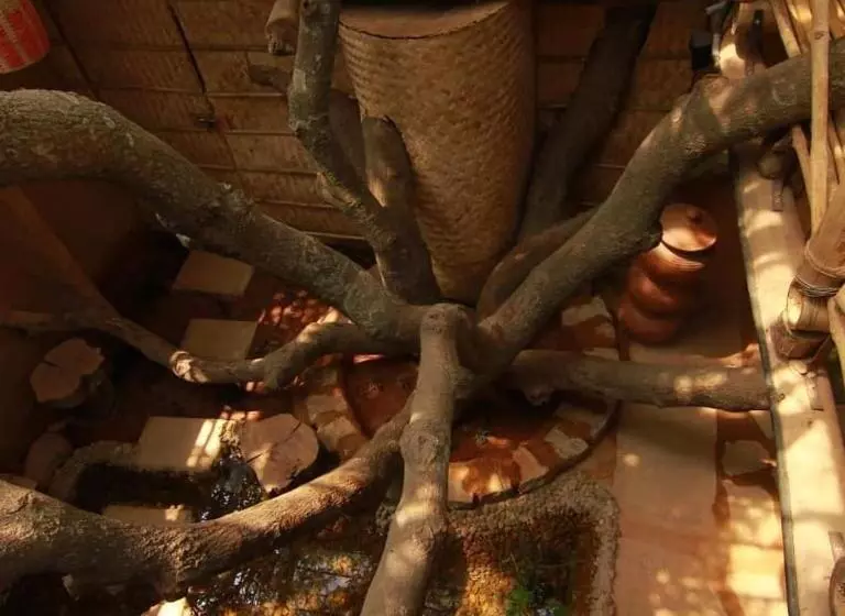 هتل Tree And Mud House