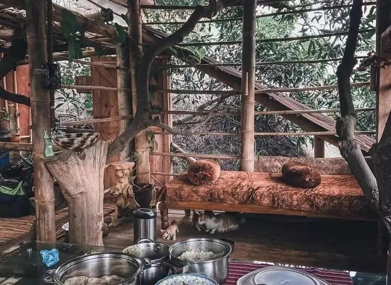 هتل Tree And Mud House