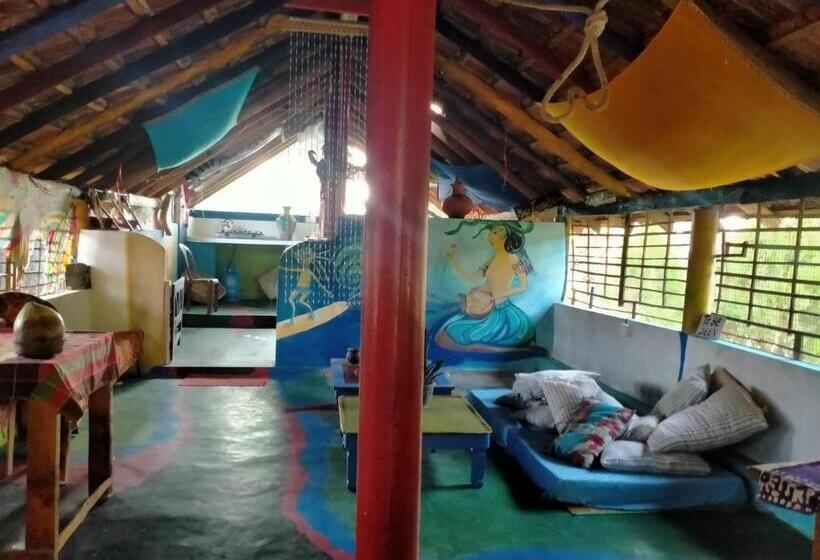 Alberg A Place Of True Colors