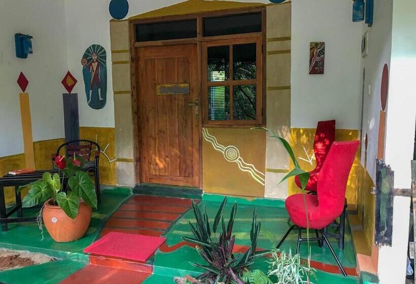 Alberg A Place Of True Colors