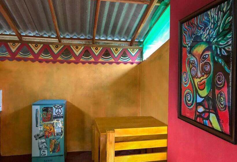 Alberg A Place Of True Colors