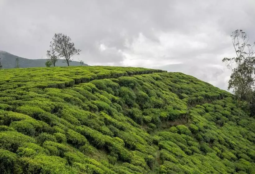 Retkeilymaja Aaradhya Nuwara Eliya