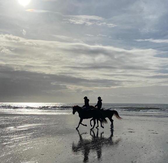 تختخواب و صبحانه Flowers By Yasmine Trouville