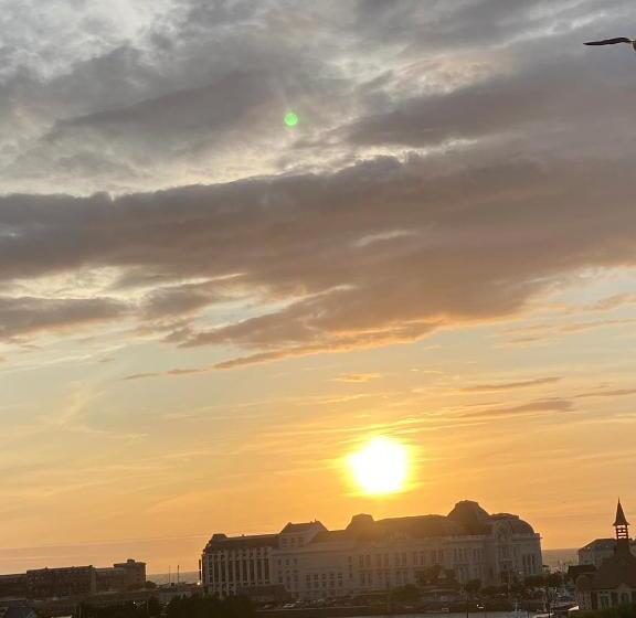 تختخواب و صبحانه Flowers By Yasmine Trouville