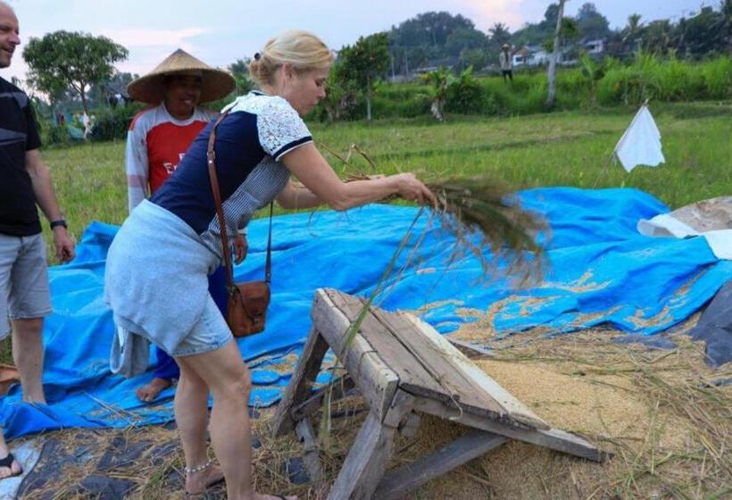 Nocleg ze śniadaniem Kangkung House Bujak