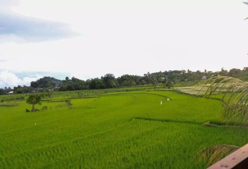 Aamiaismajoitus (B&B) Kangkung House Bujak