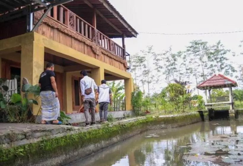 Aamiaismajoitus (B&B) Kangkung House Bujak
