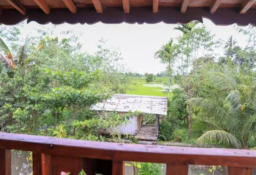 Aamiaismajoitus (B&B) Kangkung House Bujak