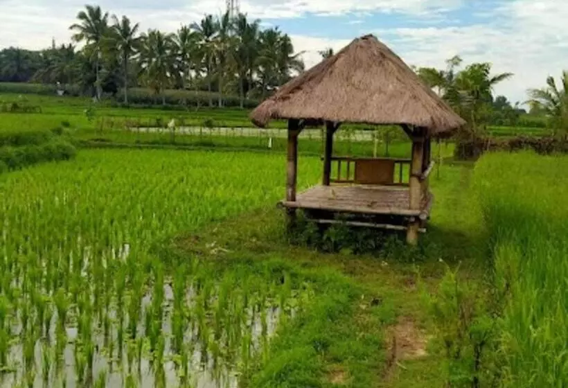 Aamiaismajoitus (B&B) Kangkung House Bujak