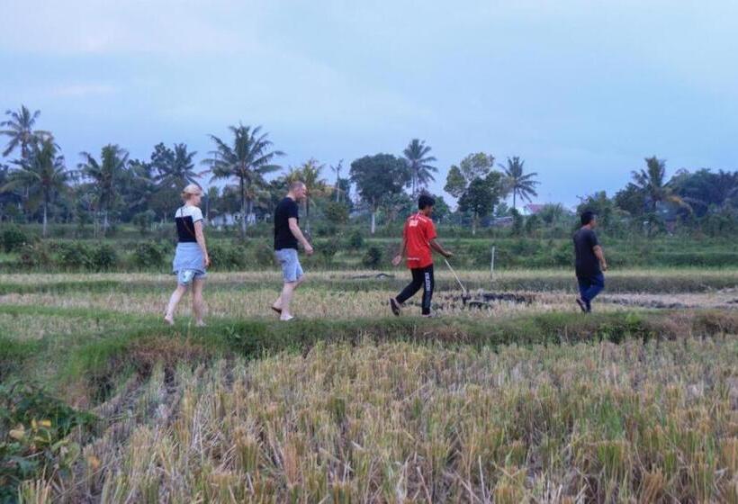 Nocleg ze śniadaniem Kangkung House Bujak
