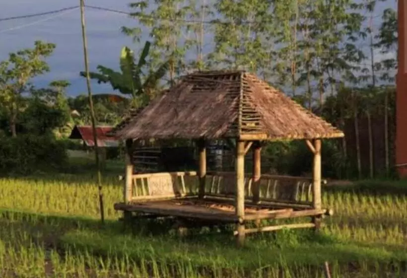 Aamiaismajoitus (B&B) Kangkung House Bujak