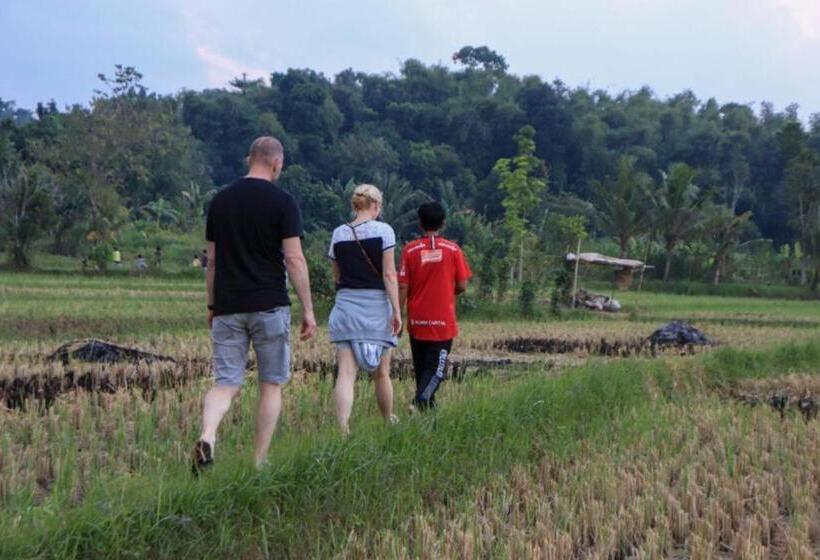Nocleg ze śniadaniem Kangkung House Bujak