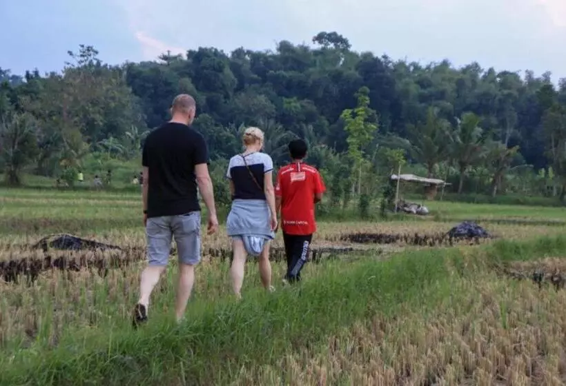 Aamiaismajoitus (B&B) Kangkung House Bujak