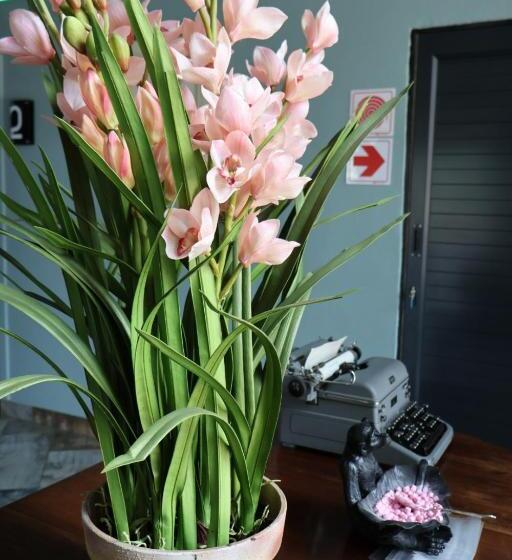 Отель 360 Country