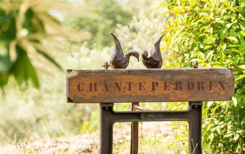 פנסיון Domaine De Chanteperdrix