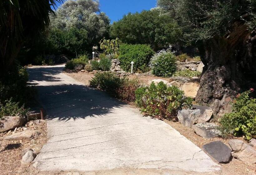 Pensionat Studio Indépendant Au Calme