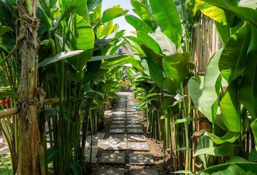 膳宿费 Villa Lalupa Joglo