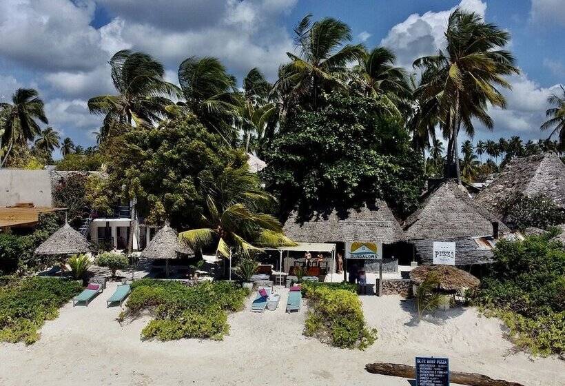 酒店 Blue Reef Sport & Fishing Lodge And Bungalows