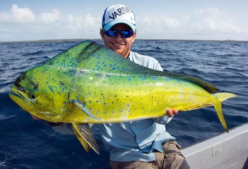 هتل Blue Reef Sport & Fishing Lodge And Bungalows