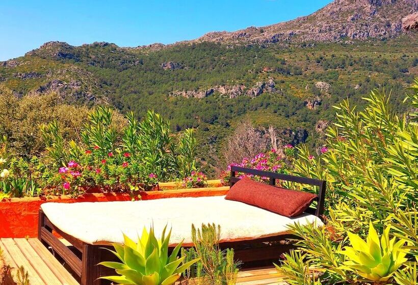 Отель Ddg Retreat