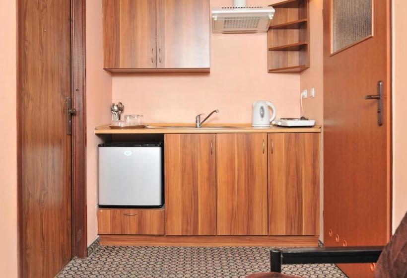 Hotel Pensjonat Stańczyk