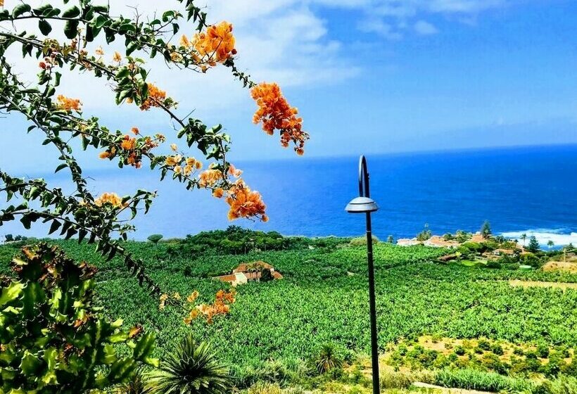 فندق Residencia San Pedro