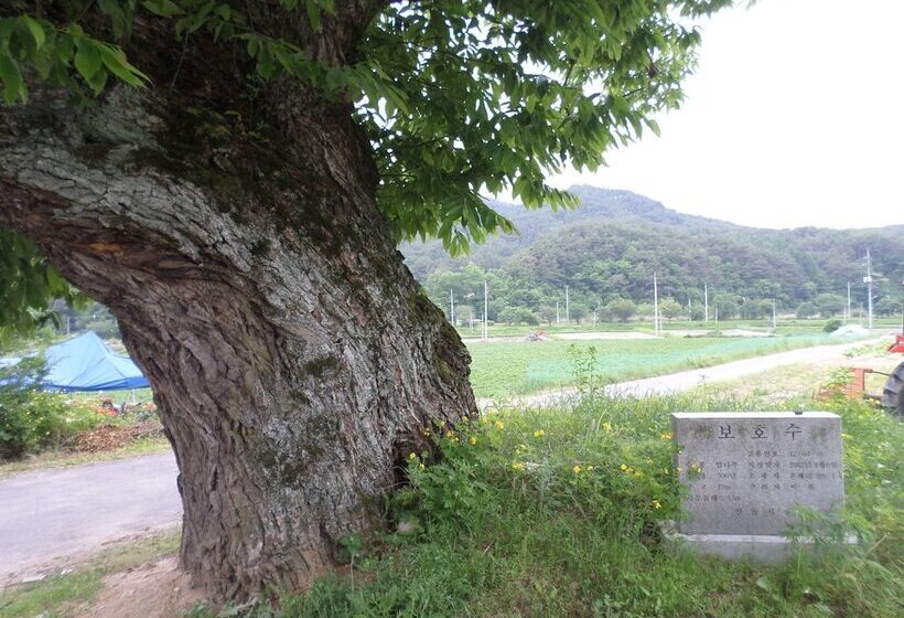 ペンション Ongyejongtaek Sambaekdang