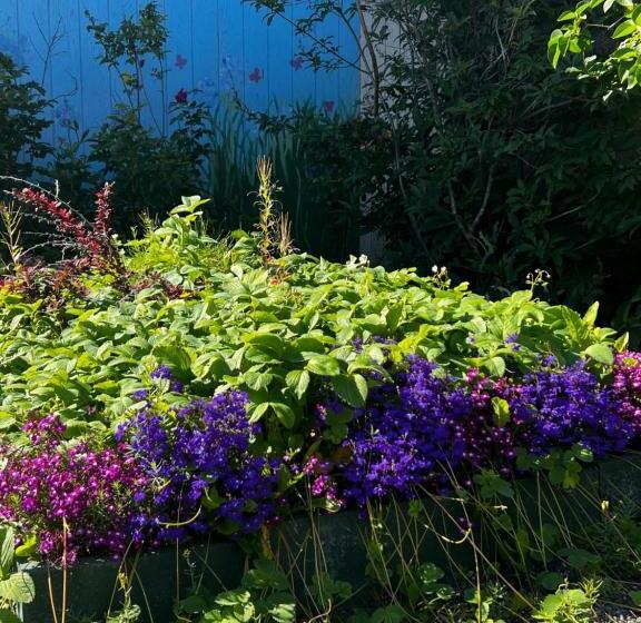 هتل The Kenai Inn