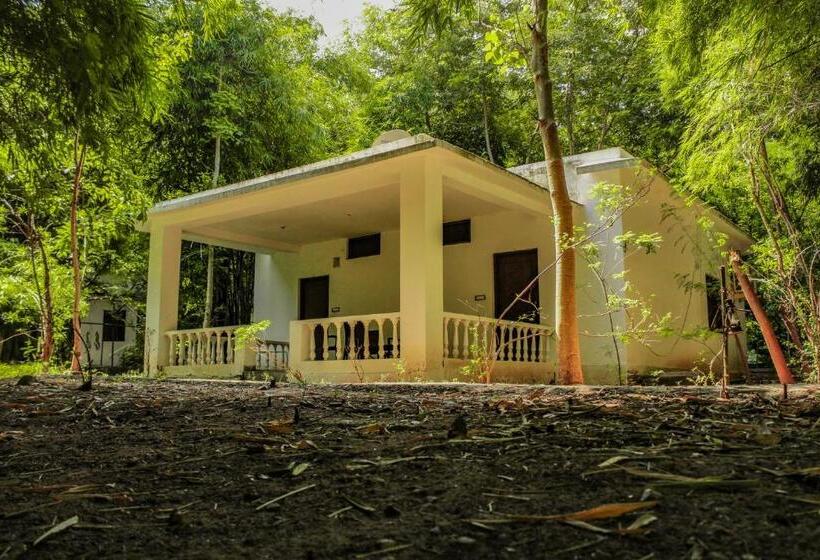 Panna Tiger Resort  Riverside Property