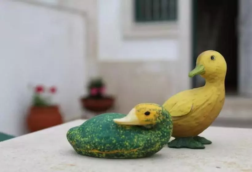 ペンション Casa Dos Limões