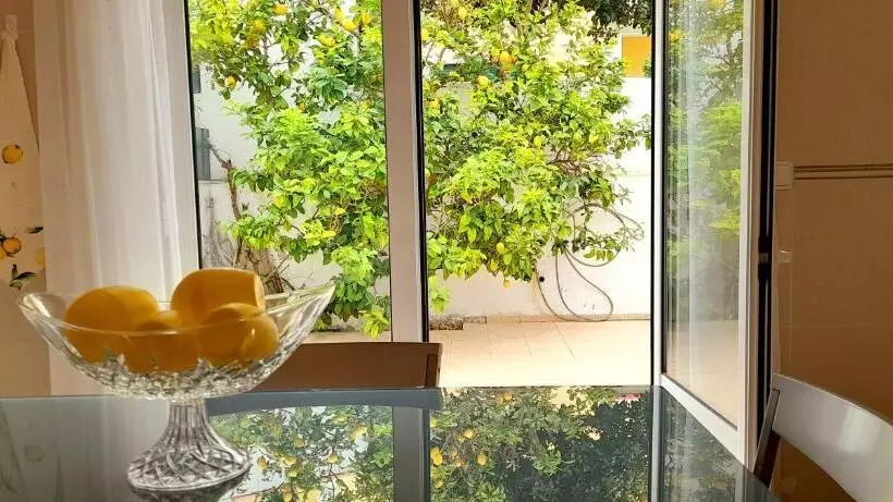 ペンション Casa Dos Limões