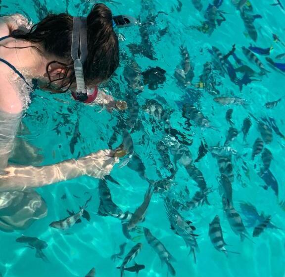 渡假胜地  Zi Villa Garden Room 1