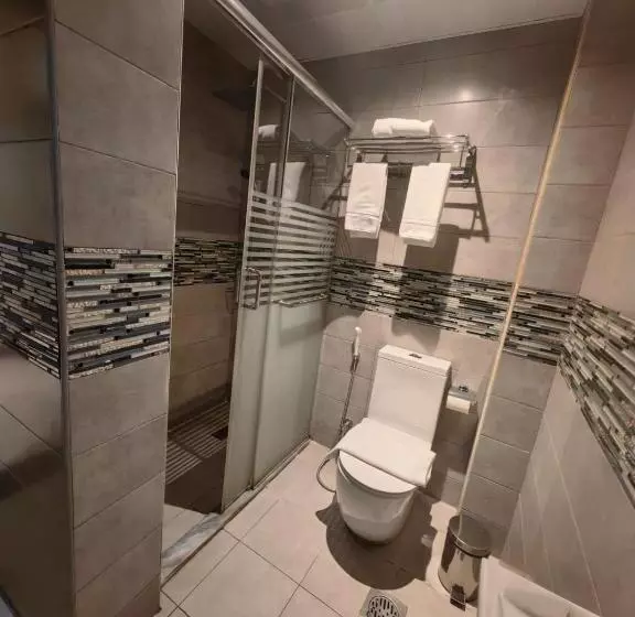 فندق دان البلاتيني