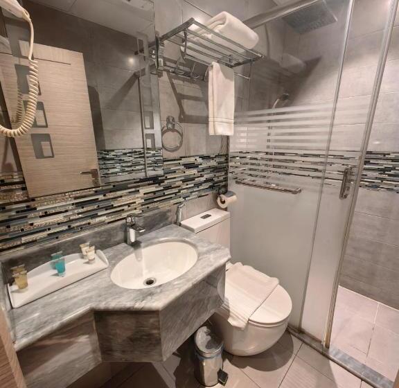 فندق دان البلاتيني