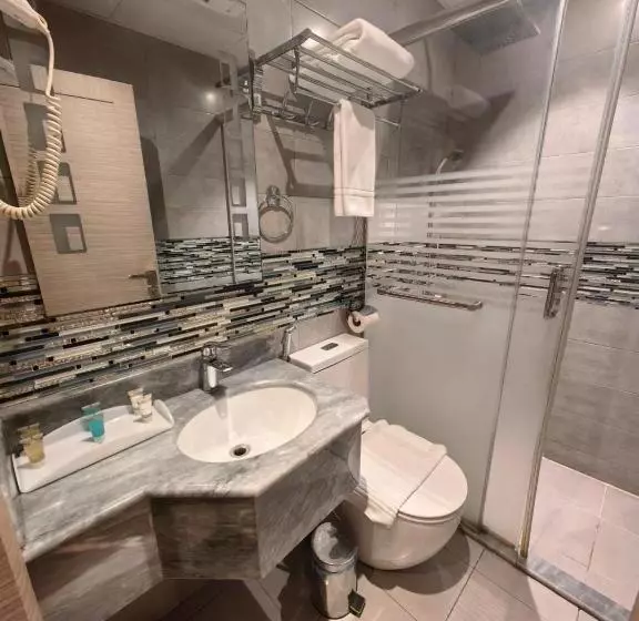 فندق دان البلاتيني