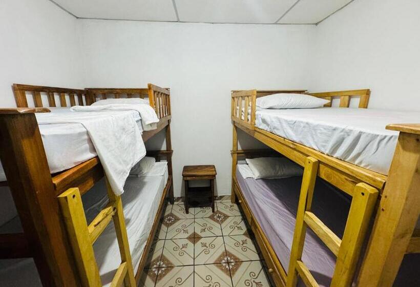 هاستل Hostal Villa Marta