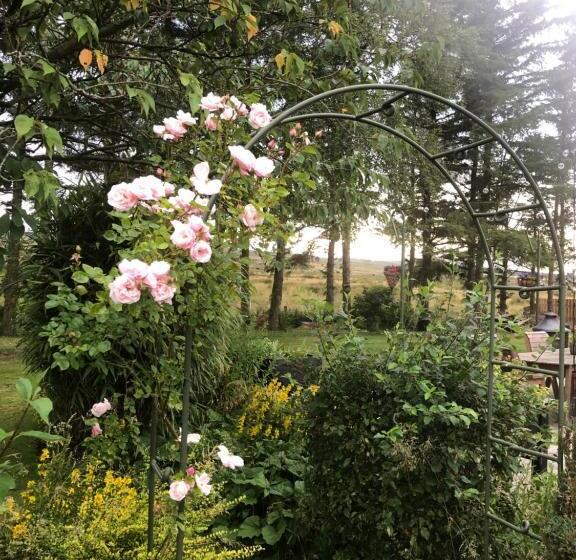 住宿加早餐 Brownrigg Half A House & Garden